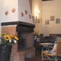 scoiattolo (1)