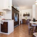 Essiccatoio, Frantoio, Cantina, Mastrocarraio (6)