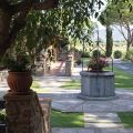 Cuccia, Reale o Boschetto (6)