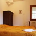 L'oleandro (3)