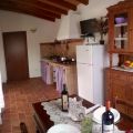 I Lamponi (2)