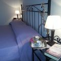 I Lamponi (4)