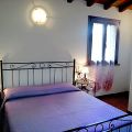I Lamponi (5)