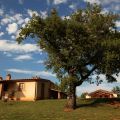 montorsaio (1)