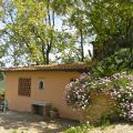I Girasoli 4+1 (2)