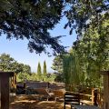 Lodge tent Ginestra (2)