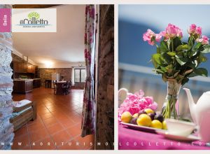 Descrizione delle stanze 3