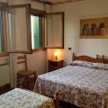 Rose (1)
