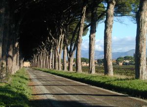 Description des chambres 5