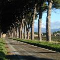 APPARTAMENTO LIVIO (1)