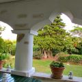  Grandi (Larger size) (5)