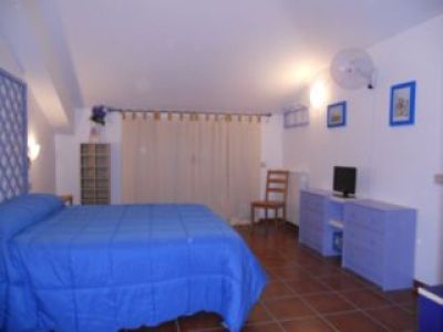 Il ciclamino