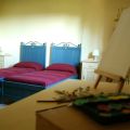 Pettirosso (1)
