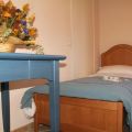 Cardellino (1)