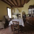 IL GRANO (1)