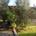 chalet di ponente  (1)