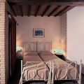 Oleandro (1)