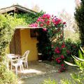 Roseto (1)