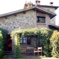 Leccio (1)