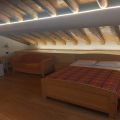 N. 6 SUITE CARTIZZE (1)