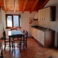 Poiana (4)