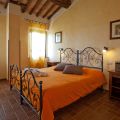 Ginestra (1)