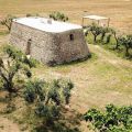 LAMIA APARTMENT (2 ADULTS + 2 CHILDREN) (2)