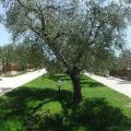 Bungalow “ grande” (4)