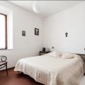 Oleandro (2)
