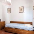 Oleandro (3)