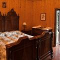 Euforbia (1)