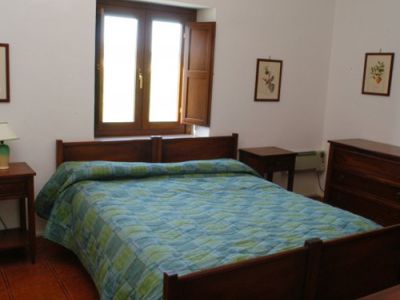 Flora
