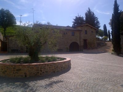 Rosso di Montalcino