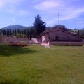 Brunello di Montalcino (1)