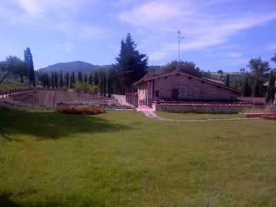 Brunello di Montalcino
