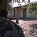 Bungalow  (1)