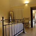 Ginestra (1)