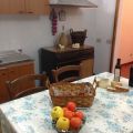 Il Gelso (1)