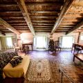 camera SUITE (1)