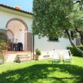 OLEANDRO/ CASTAGNO (1)
