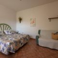 OLEANDRO/ CASTAGNO (3)
