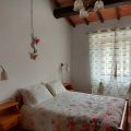 Il Mandorlo (1)