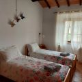 Il Mandorlo (2)