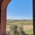 La Quercia (2)