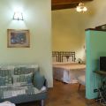 Pettirosso (1)