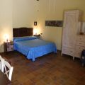 Fagiano (1)