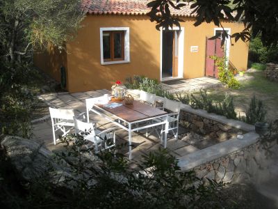 LI LICCI