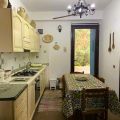 Il Pergolato di Kiwi (6)
