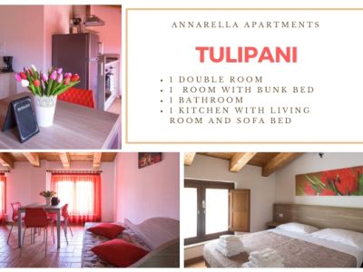 Tulipani