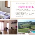 Orchidea (1)